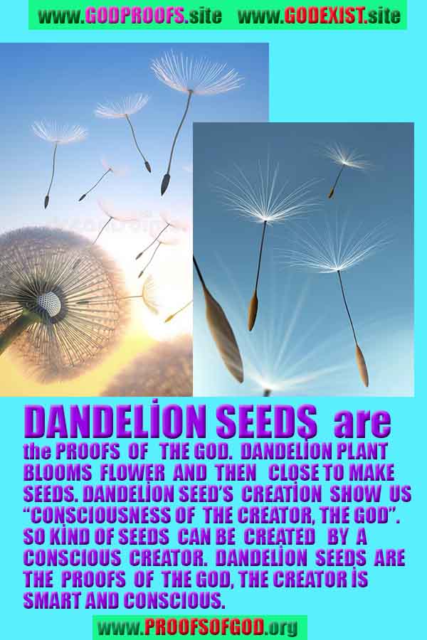 god is real, god exists here proofs, god's proofs, proofs of god, evidences of god, proofs-god, evidences-god, signs-god 