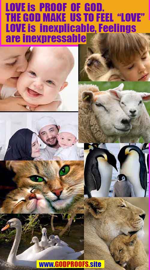  god is real, god exists here proofs, god's proofs, proofs of god, evidences of god, proofs-god, evidences-god, signs-god