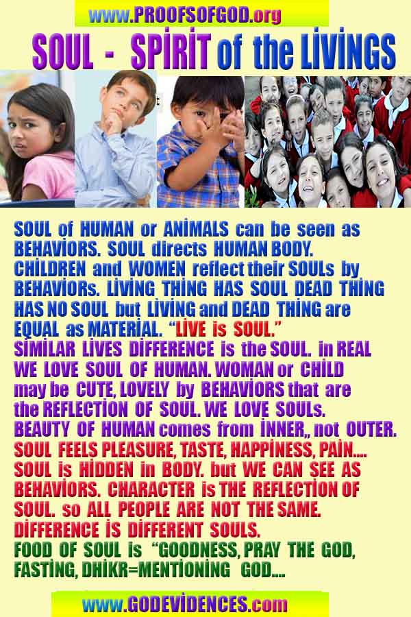 god is real, god exists here proofs, god's proofs, proofs of god, evidences of god, proofs-god, evidences-god, god 