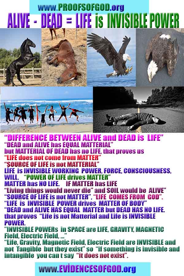 god is real, god exists here proofs, god's proofs, proofs of god, evidences of god, proofs-god, evidences-god 