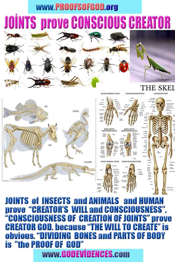 god is real, god exists here proofs, god's proofs, proofs of god, evidences of god, proofs-god, evidences-god, god 